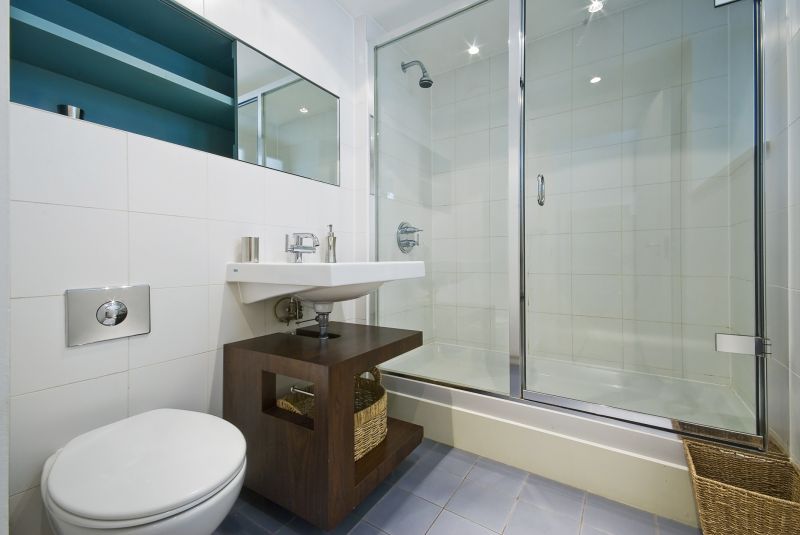 Glass Shower Door with Minimal Hardware